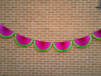 watermelon party garland