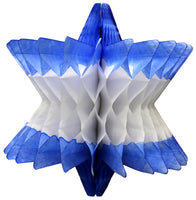 14 Inch Honeycomb Star of David Decoration - MULTIPLE OPTIONS