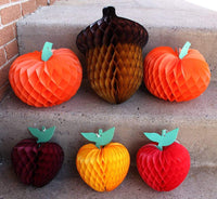 14 Inch Honeycomb Acorn - MULTIPLE PACK OPTIONS